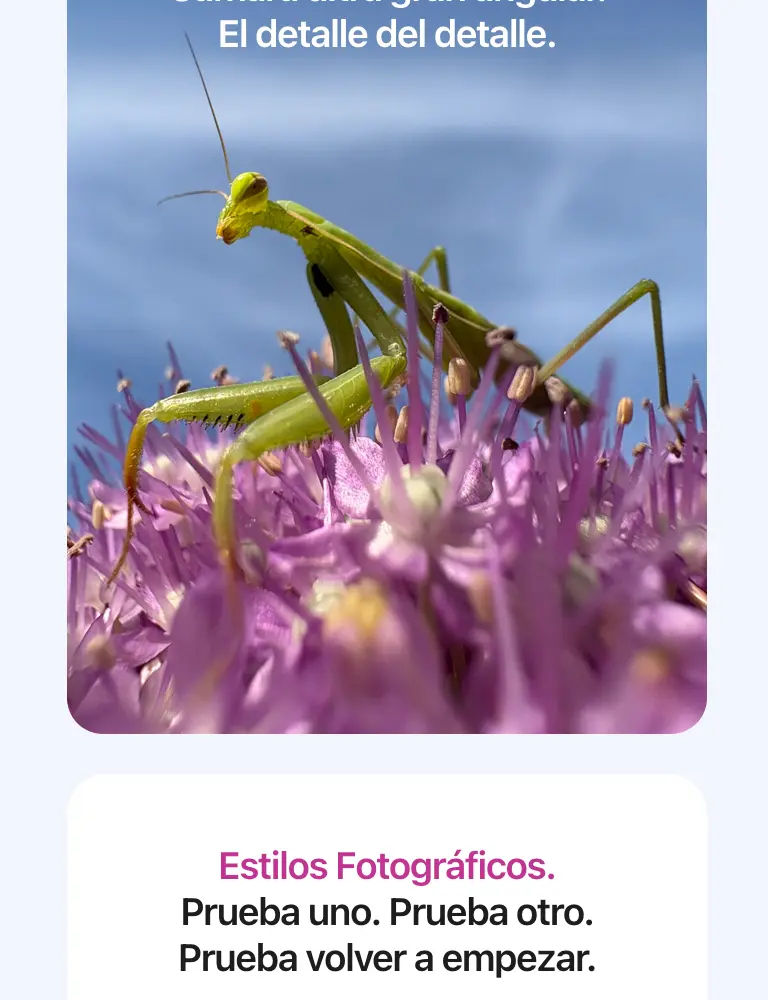 https://ik.imagekit.io/c2dr4dawp/https%3A%2F%2Fhttp2.mlstatic.com%2FD_NQ_NP_2X_659663-MLA78902603222_092024-F.webp?tr=f-jpg