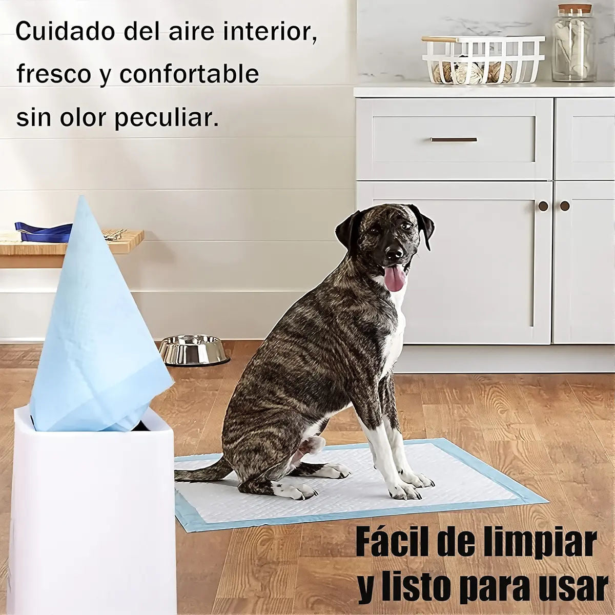 https://ik.imagekit.io/c2dr4dawp/https%3A%2F%2Fhttp2.mlstatic.com%2FD_NQ_NP_2X_823228-MLM106454961375_022026-F.webp?tr=f-jpg