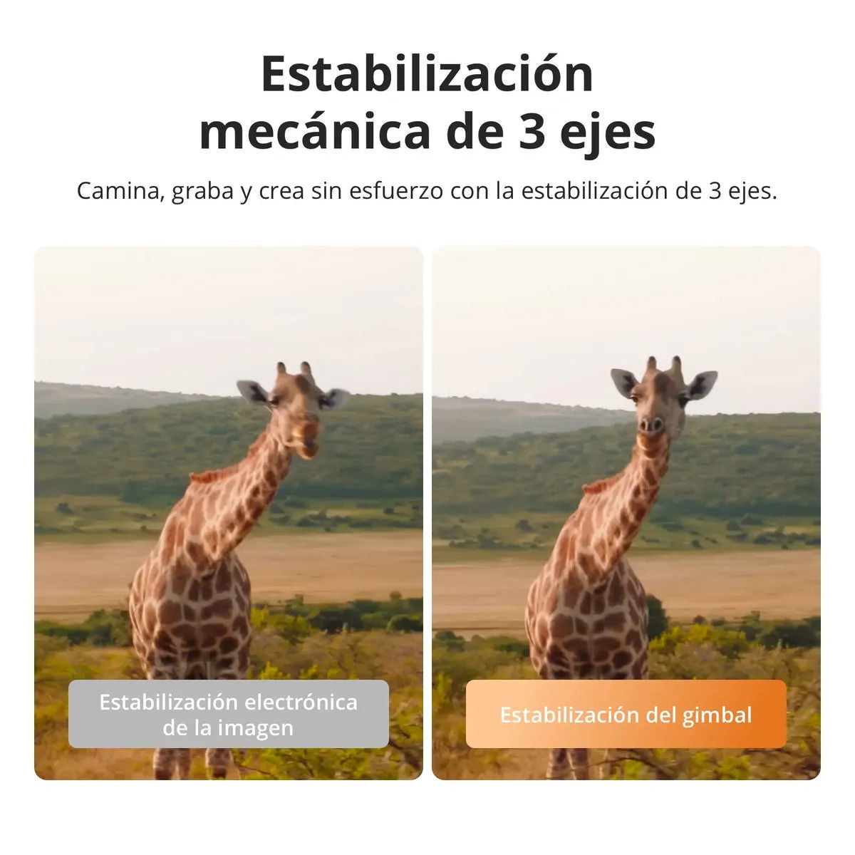 https://ik.imagekit.io/c2dr4dawp/https%3A%2F%2Fhttp2.mlstatic.com%2FD_NQ_NP_2X_837229-MLA109670869516_042026-F.webp?tr=f-jpg