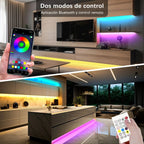 https://ik.imagekit.io/c2dr4dawp/https%3A%2F%2Fhttp2.mlstatic.com%2FD_NQ_NP_2X_857025-MLA83160755832_032025-F.webp?tr=f-jpg