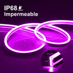 https://ik.imagekit.io/c2dr4dawp/https%3A%2F%2Fhttp2.mlstatic.com%2FD_NQ_NP_2X_925816-MLA92432254747_092025-F.webp?tr=f-jpg
