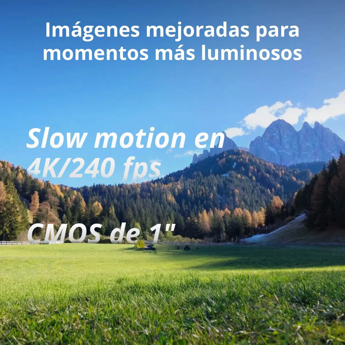 https://ik.imagekit.io/c2dr4dawp/https%3A%2F%2Fhttp2.mlstatic.com%2FD_NQ_NP_2X_980071-MLA109669838146_042026-F.webp?tr=f-jpg