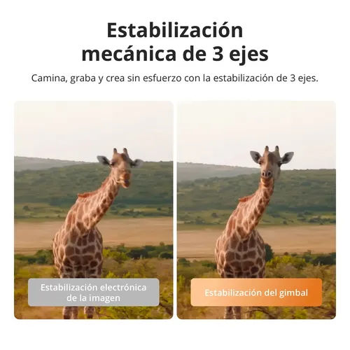 https://ik.imagekit.io/c2dr4dawp/https%3A%2F%2Fhttp2.mlstatic.com%2FD_NQ_NP_837229-MLA109670869516_042026-O.webp?tr=f-jpg