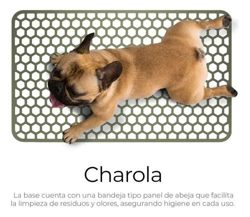 https://ik.imagekit.io/c2dr4dawp/https%3A%2F%2Fhttp2.mlstatic.com%2FD_NQ_NP_958761-MLM86474296832_062025-O-jaula-transportadora-portatil-perro-gato-conejo-mascota.webp?tr=f-jpg