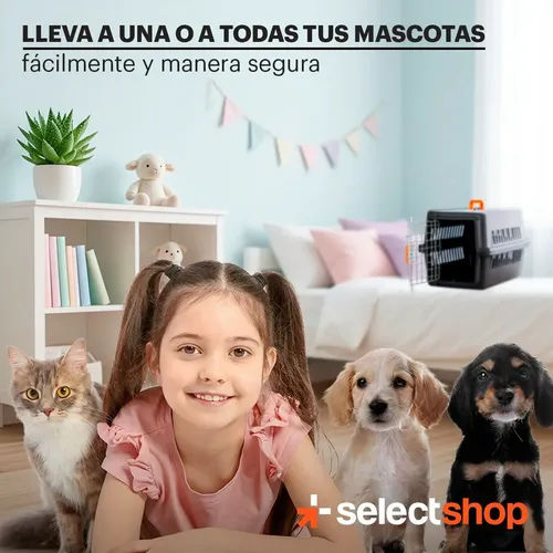 https://ik.imagekit.io/c2dr4dawp/https%3A%2F%2Fhttp2.mlstatic.com%2FD_NQ_NP_968986-MLM109772748024_042026-O-jaula-transportadora-kennel-mascotas-caja-viaje-gato-perro.webp?tr=f-jpg